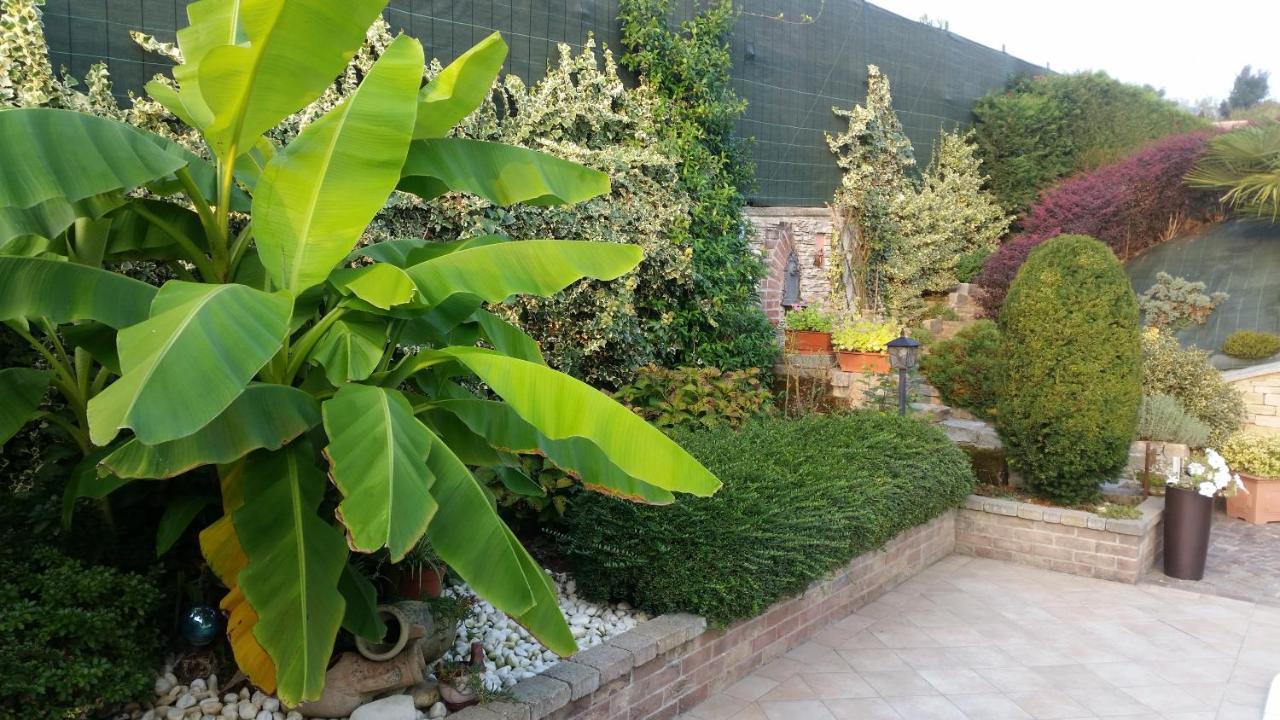 فوسّانو Villa Laura B&B المظهر الخارجي الصورة
